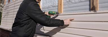 Best Custom Trim and Detailing for Siding  in Dillon, MT